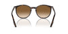 Ray-Ban RB2204 Havana/Light Brown #colour_havana-light-brown