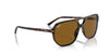 Ray-Ban Bill One RB2205 Havana/Brown #colour_havana-brown