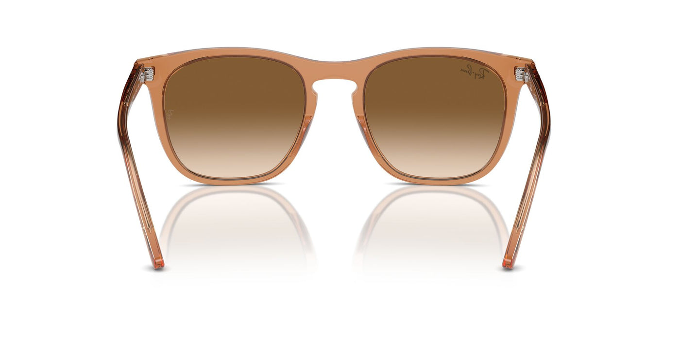 Ray-Ban RB2210 Transparent Brown/Clear-Brown #colour_transparent-brown-clear-brown