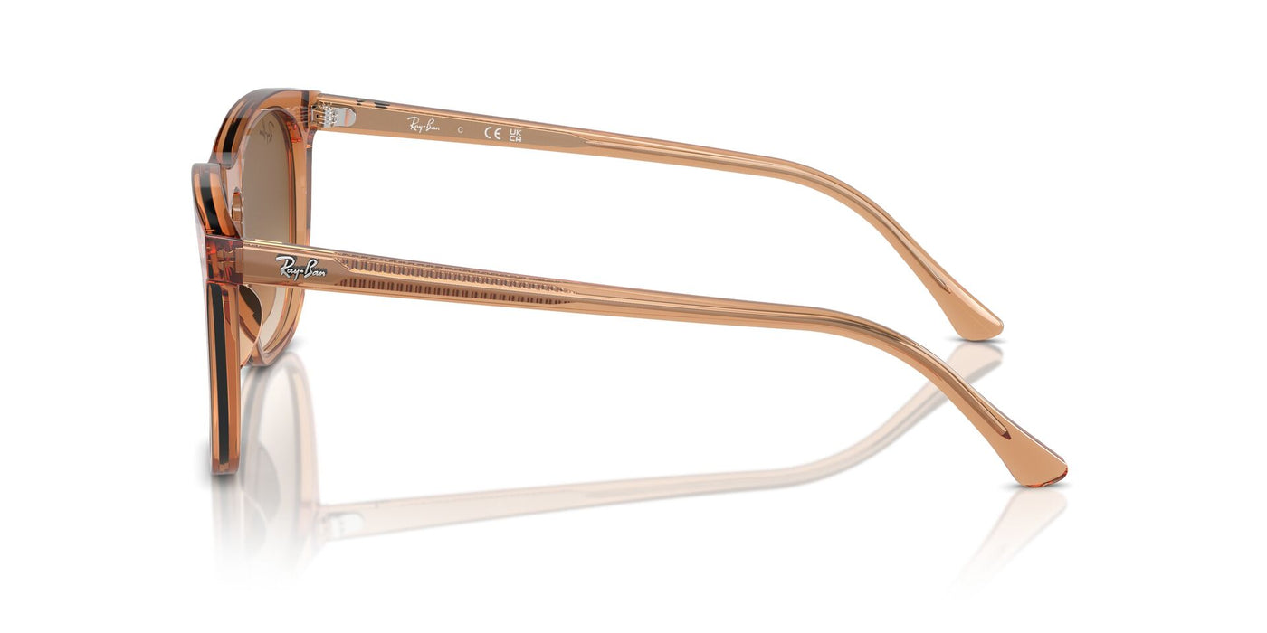 Ray-Ban RB2210 Transparent Brown/Clear-Brown #colour_transparent-brown-clear-brown