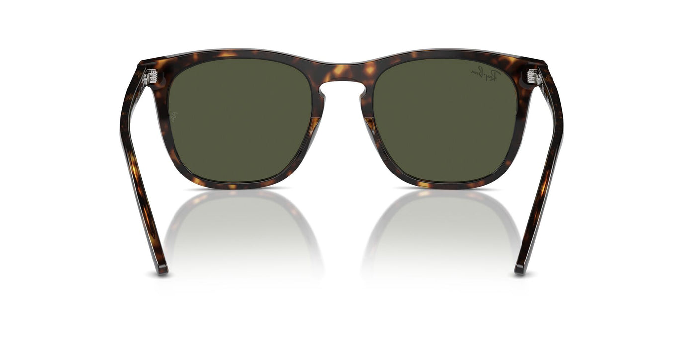 Ray-Ban RB2210 Havana/Green #colour_havana-green