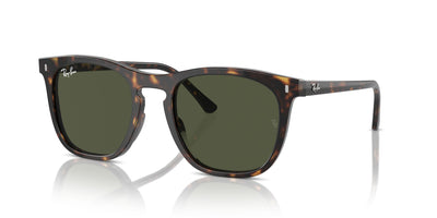 Ray-Ban RB2210 Havana/Green #colour_havana-green