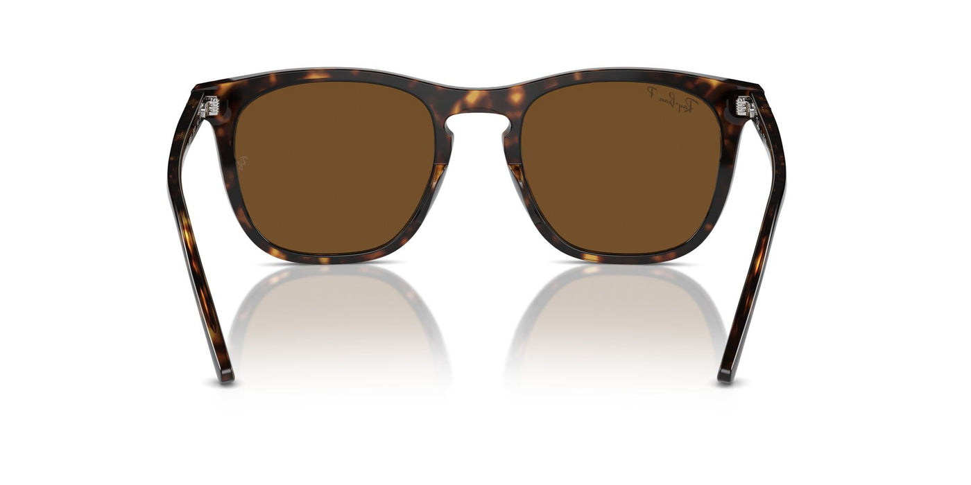 Ray-Ban RB2210 Havana/Brown Polarised #colour_havana-brown-polarised