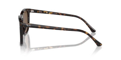 Ray-Ban RB2210 Havana/Brown Polarised #colour_havana-brown-polarised