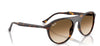 Ray-Ban RB2215#colour_havana-clear-brown-gradient