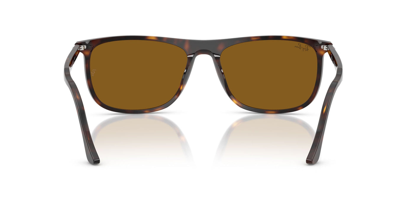 Ray-Ban RB2216 Havana/Brown #colour_havana-brown