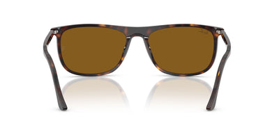 Ray-Ban RB2216 Havana/Brown #colour_havana-brown