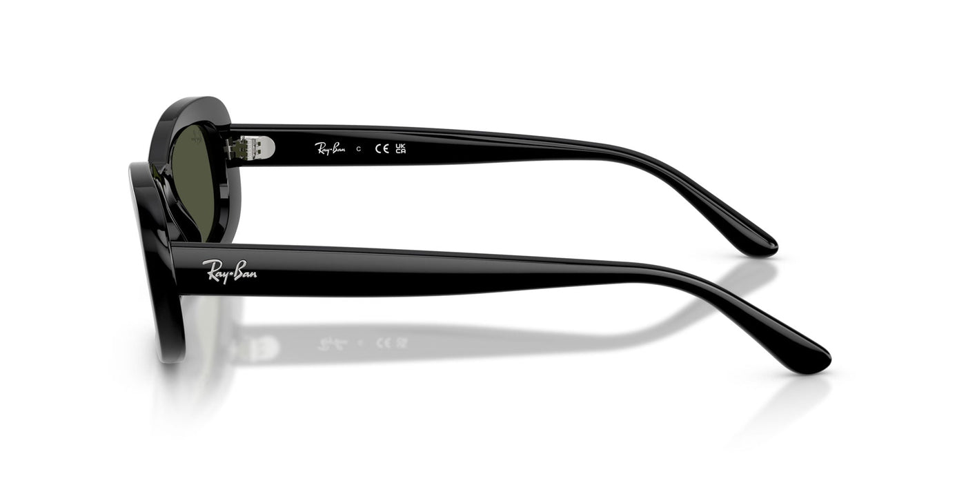 Ray-Ban RB2221 Black/Green #colour_black-green
