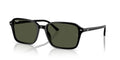 Ray-Ban Raimond RB2231