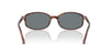 Ray-Ban RB2232 Striped Havana/Blue #colour_striped-havana-blue