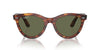 Ray-Ban Wayfarer Way RB2241 Striped Havana/Green Polarised #colour_striped-havana-green-polarised