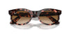 Ray-Ban Wayfarer Oval RB2242 Pink Havana/Clear-Brown #colour_pink-havana-clear-brown