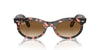 Ray-Ban Wayfarer Oval RB2242 Pink Havana/Clear-Brown #colour_pink-havana-clear-brown