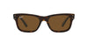 Ray-Ban Mr Burbank RB2283 Havana/Brown Polarised #colour_havana-brown-polarised