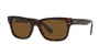 Ray-Ban Mr Burbank RB2283 Havana/Brown Polarised #colour_havana-brown-polarised