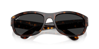 Ray-Ban Mega Balorama RB2289 Havana/Black Polarised #colour_havana-black-polarised