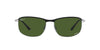 #colour_black-on-silver-polarised-dark-green