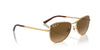 Ray-Ban RB3733 Gold/Brown Polarised #colour_gold-brown-polarised