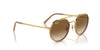 Ray-Ban RB3765 Gold/Light Brown #colour_gold-light-brown