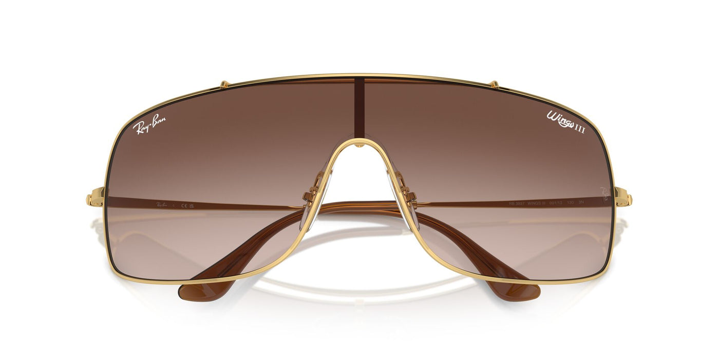 Ray-Ban Wings III RB3897 Gold/Brown #colour_gold-brown