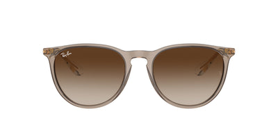 Ray-Ban Erika RB4171 Transparent Light Brown/Brown #colour_transparent-light-brown-brown