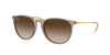 Ray-Ban Erika RB4171 Transparent Light Brown/Brown #colour_transparent-light-brown-brown