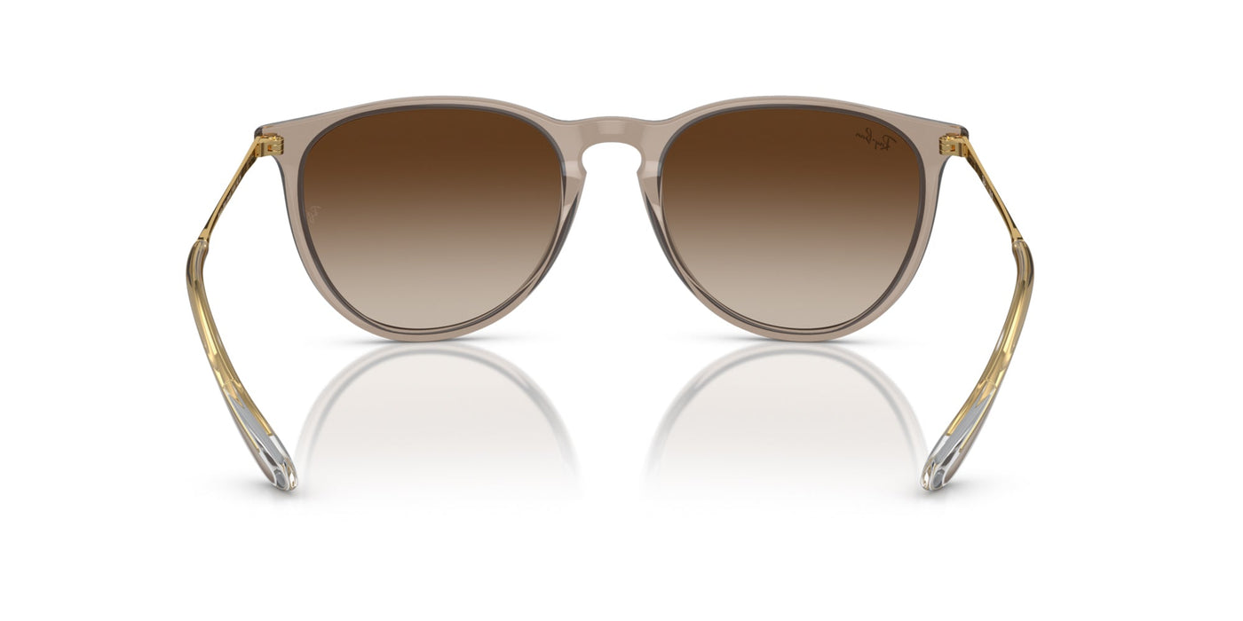 Ray-Ban Erika RB4171 Transparent Light Brown/Brown #colour_transparent-light-brown-brown