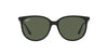 Ray-Ban RB4378 Black/Dark Green #colour_black-dark-green