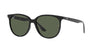 Ray-Ban RB4378 Black/Dark Green #colour_black-dark-green