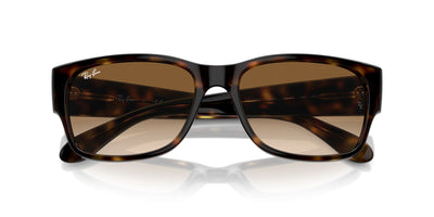 Ray-Ban RB4388 Havana/Clear-Brown #colour_havana-clear-brown