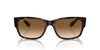 Ray-Ban RB4388 Havana/Clear-Brown #colour_havana-clear-brown