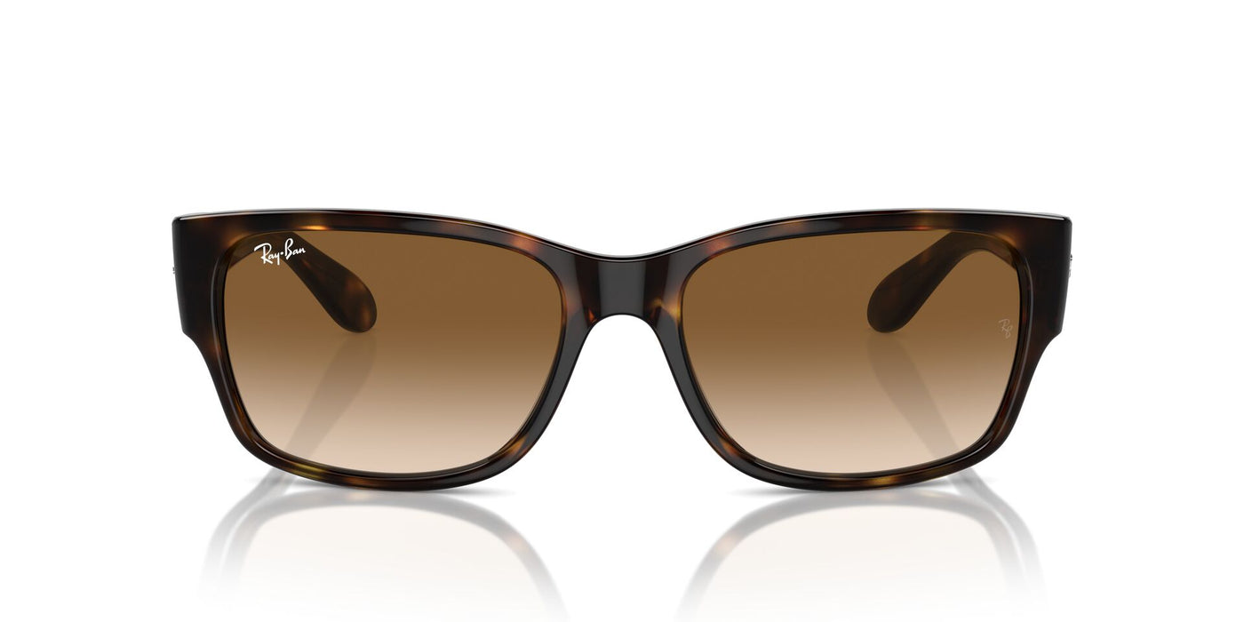 Ray-Ban RB4388 Havana/Clear-Brown #colour_havana-clear-brown