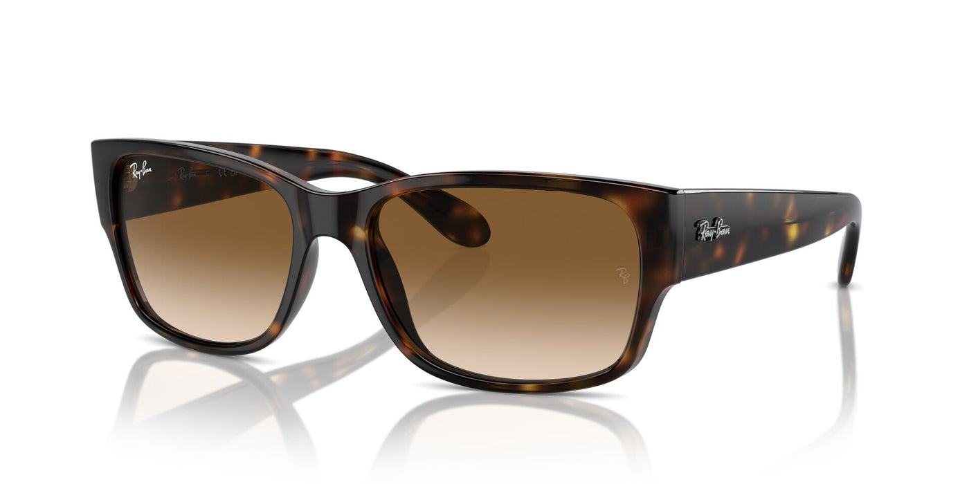 Ray-Ban RB4388 Havana/Clear-Brown #colour_havana-clear-brown