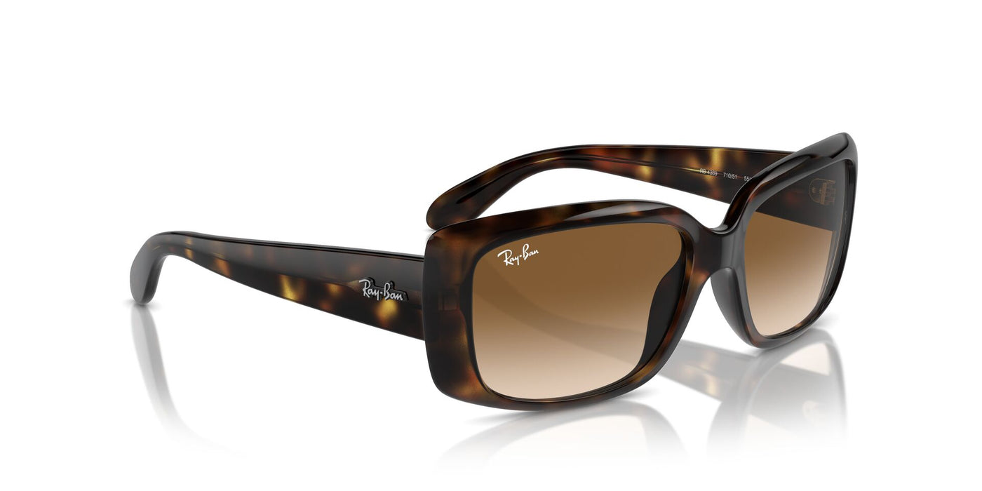 Ray-Ban RB4389 Havana/Clear Brown #colour_havana-clear-brown