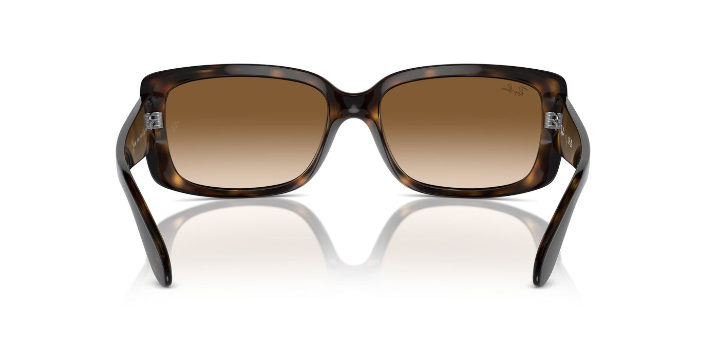 Ray-Ban RB4389 Havana/Clear Brown #colour_havana-clear-brown