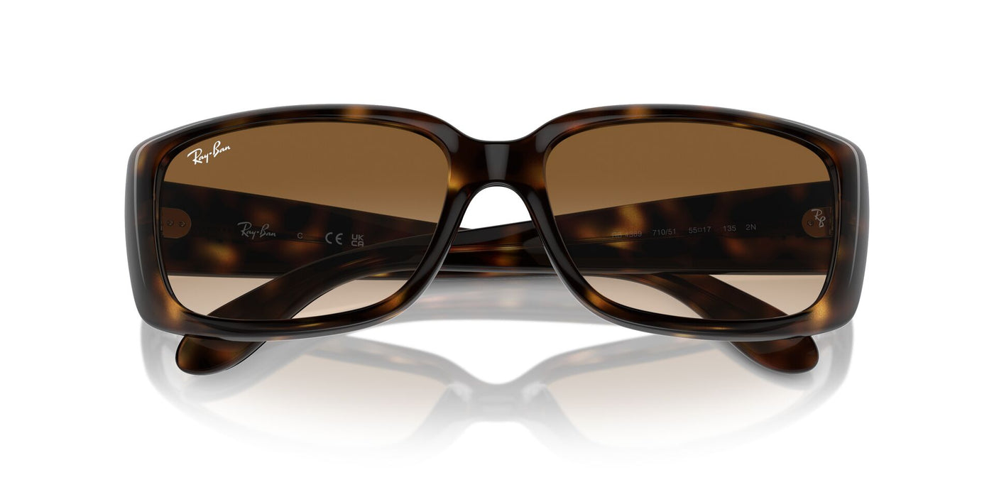 Ray-Ban RB4389 Havana/Clear Brown #colour_havana-clear-brown