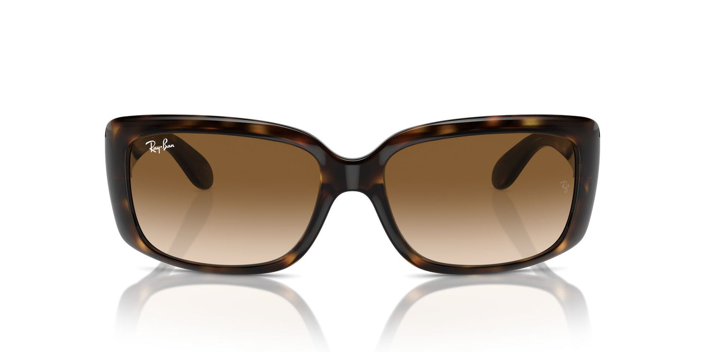 Ray-Ban RB4389 Havana/Clear Brown #colour_havana-clear-brown