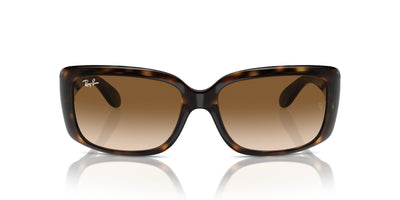 Ray-Ban RB4389 Havana/Clear Brown #colour_havana-clear-brown