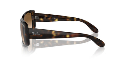 Ray-Ban RB4389 Havana/Clear Brown #colour_havana-clear-brown