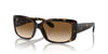 Ray-Ban RB4389 Havana/Clear Brown #colour_havana-clear-brown