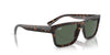 Ray-Ban Warren RB4396 Havana/Dark Blue #colour_havana-dark-blue