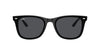 Ray-Ban RB4420 Black/Dark Grey #colour_black-dark-grey