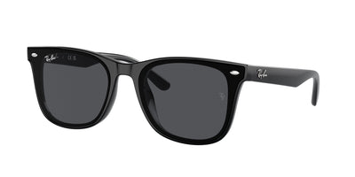 Ray-Ban RB4420 Black/Dark Grey #colour_black-dark-grey