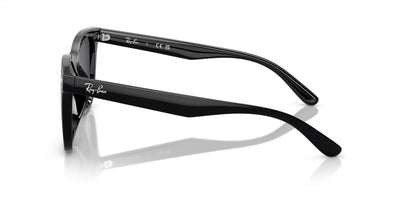 Ray-Ban RB4420 Black/Dark Grey #colour_black-dark-grey