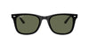 Ray-Ban RB4420 Black/Dark Green Polarised #colour_black-dark-green-polarised