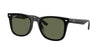 Ray-Ban RB4420 Black/Dark Green Polarised #colour_black-dark-green-polarised