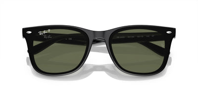 Ray-Ban RB4420 Black/Dark Green Polarised #colour_black-dark-green-polarised