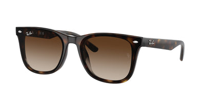 Ray-Ban RB4420 Havana/Brown #colour_havana-brown