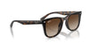 Ray-Ban RB4420 Havana/Brown #colour_havana-brown