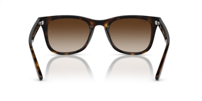 Ray-Ban RB4420 Havana/Brown #colour_havana-brown